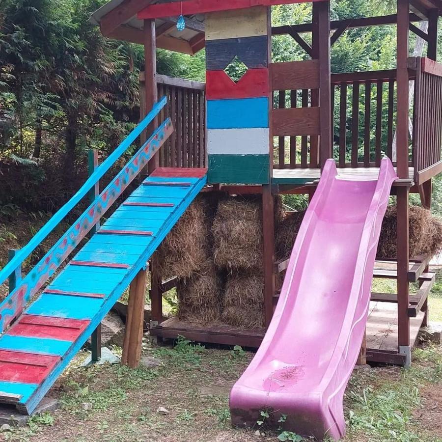 Kalmul Naturii, Iuresul Padurii Firiza-de-Jos Extérieur photo